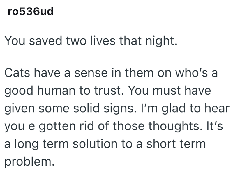 ro536ud You saved two lives that night. Cats have a sense in them on who's a good human to trust. You must have given some solid signs. I'm glad to hear you e gotten rid of those thoughts. It's a long term solution to a short term problem.