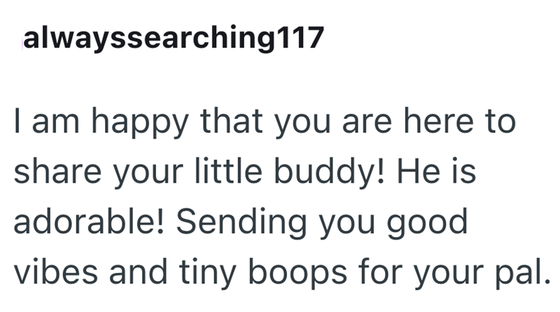 alwayssearching 117 I am happy that you are here to share your little buddy! He is adorable! Sending you good vibes and tiny boops for your pal.