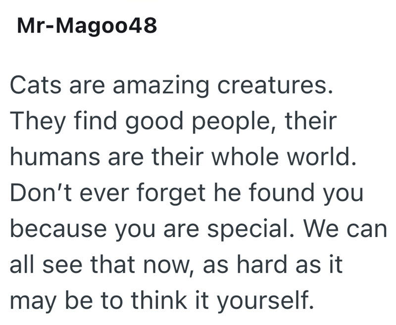 Mr-Magoo48 Cats are amazing creatures. They find good people, their humans are their whole world. Don't ever forget he found you because you are special. We can all see that now, as hard as it may be to think it yourself.