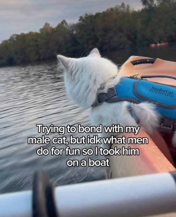SurferCat MATALGUARUS Trying to bond with my male cat, but idk what men do for fun so I took him on a boat