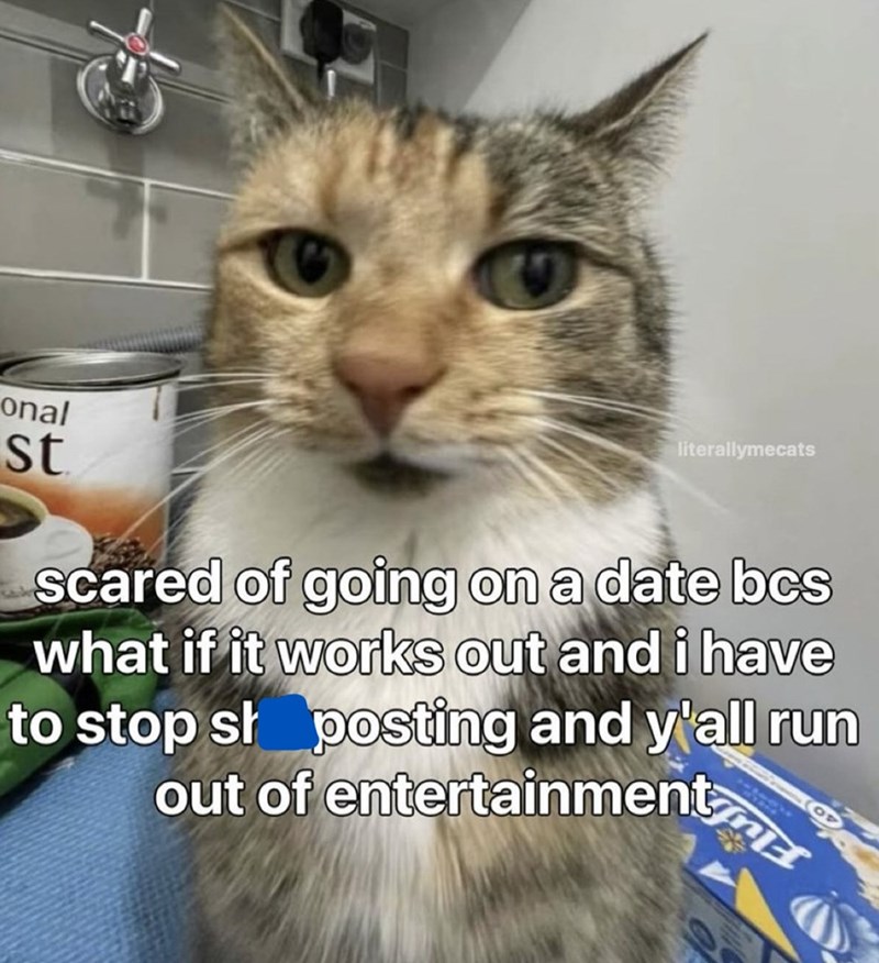 onal st literallymecats scared of going on a date bcs what if it works out and i have to stop shoposting and y'all run out of entertainment
