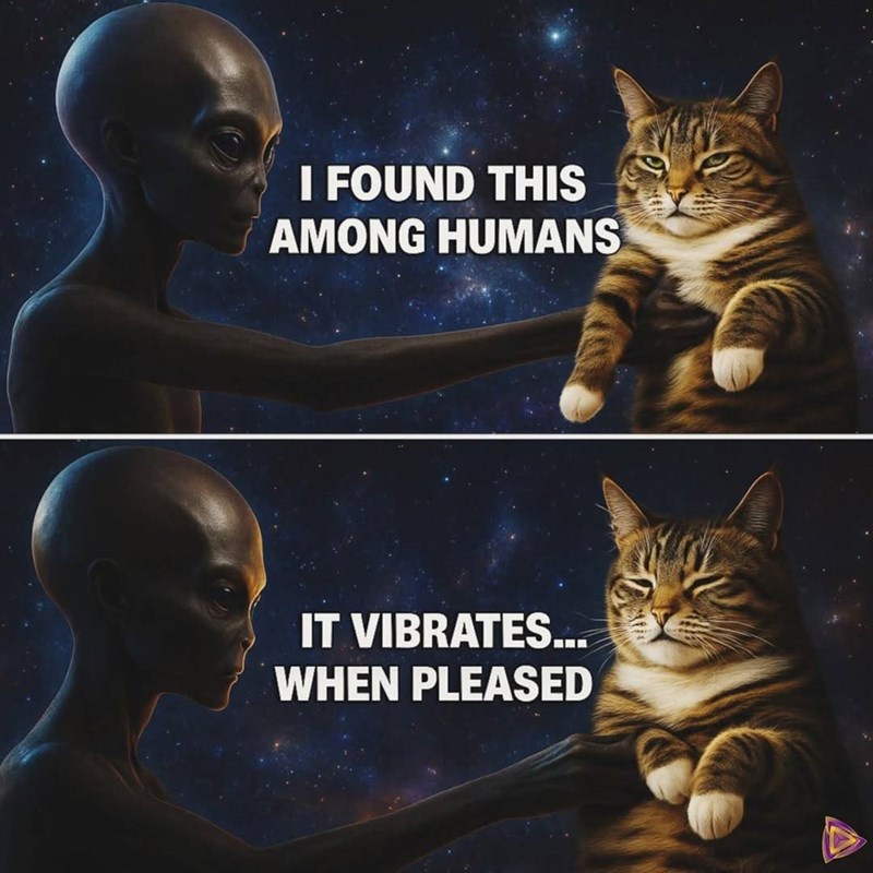 I FOUND THIS AMONG HUMANS IT VIBRATES... WHEN PLEASED