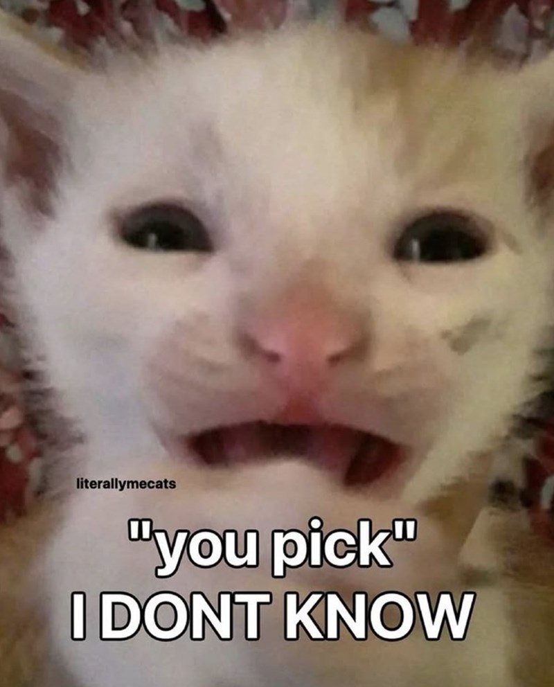 literallymecats "you pick" I DONT KNOW