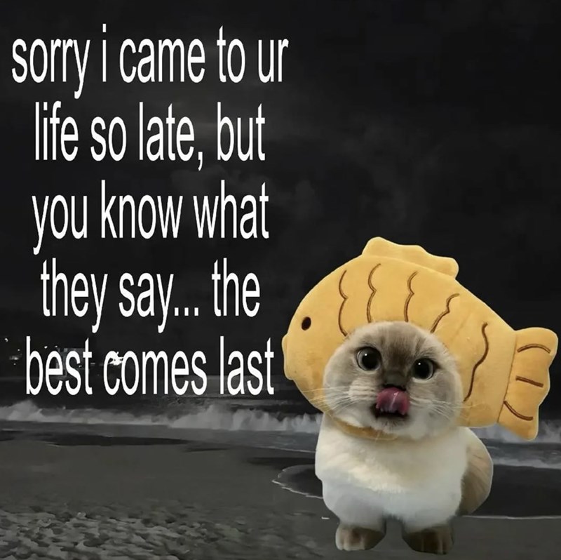 sorry i came to un life so late, but you know what they say... the best comes last
