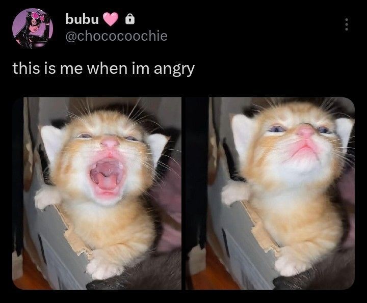 bubu @chococoochie this is me when im angry