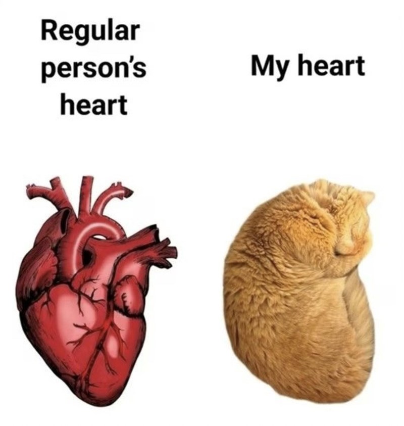 Regular person's heart My heart