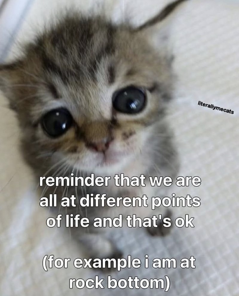 literallymecats reminder that we are all at different points of life and that's ok (for example i am at rock bottom)
