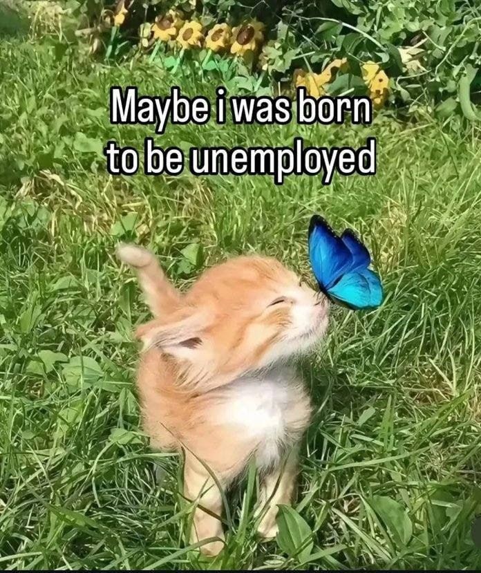 Maybe i was born to be unemployed