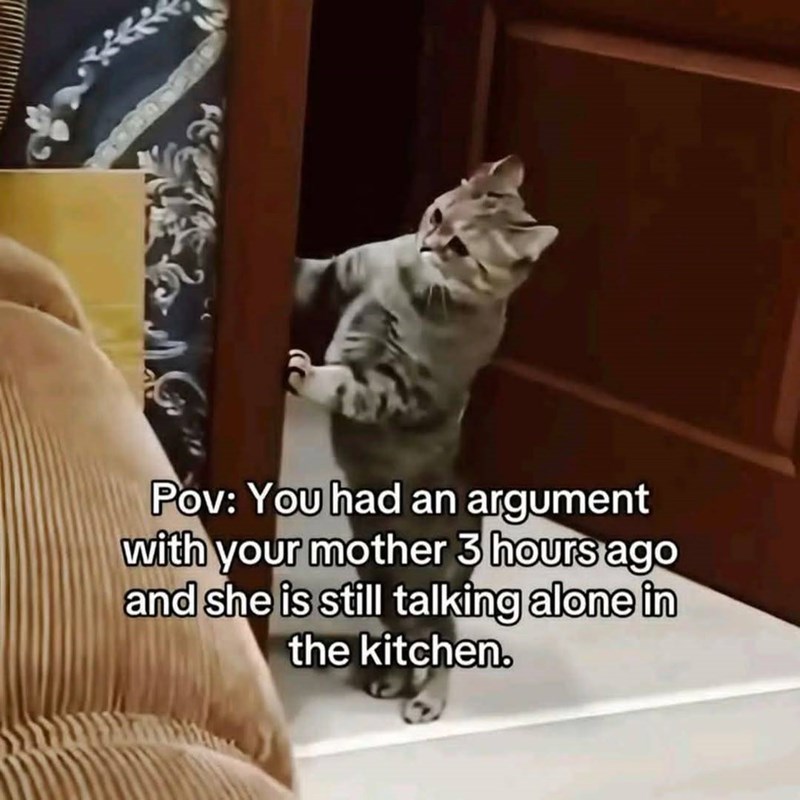 Pov: You had an argument with your mother 3 hours ago and she is still talking alone in the kitchen.