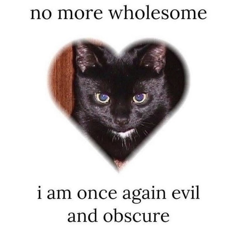 no more wholesome i am once again evil and obscure