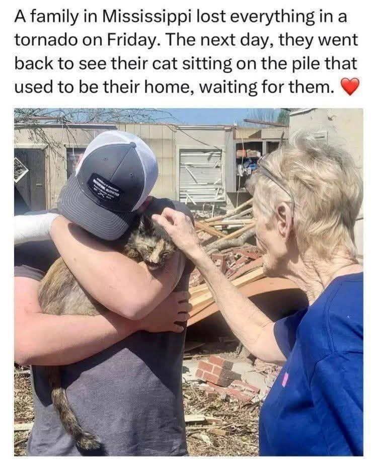 A family in Mississippi lost everything in a tornado on Friday. The next day, they went back to see their cat sitting on the pile that used to be their home, waiting for them.
