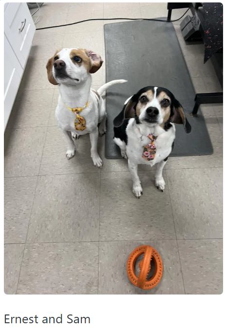 Ernest and Sam