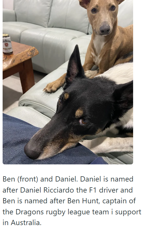 BEAN Ben (front) and Daniel. Daniel is named after Daniel Ricciardo the F1 driver and Ben is named after Ben Hunt, captain of the Dragons rugby league team i support in Australia.