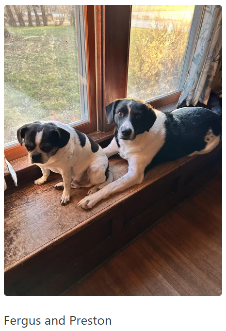 Fergus and Preston