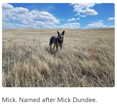 Mick. Named after Mick Dundee.