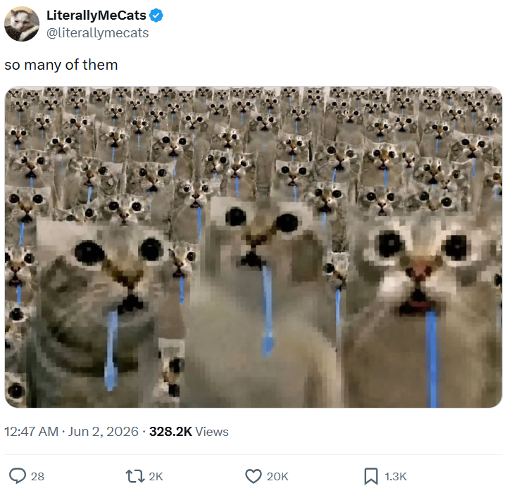 LiterallyMeCats ❤ @literallymecats so many of them 12:47 AM ⚫ Jun 2, 2026 328.2K Views 28 12K 20K 1.3K
