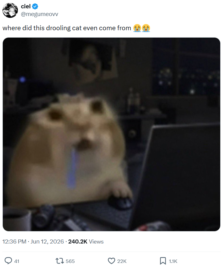 ciel @megumeovv where did this drooling cat even come from 12:36 PM ⚫ Jun 12, 2026 - 240.2K Views 41 17565 22K 1.1K