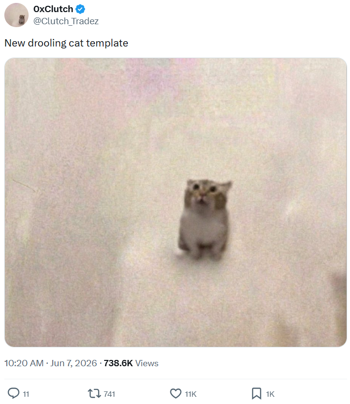 OxClutch ✔ @Clutch Tradez New drooling cat template . 10:20 AM ⚫ Jun 7, 2026 - 738.6K Views 11 741 11K ☐ 1K