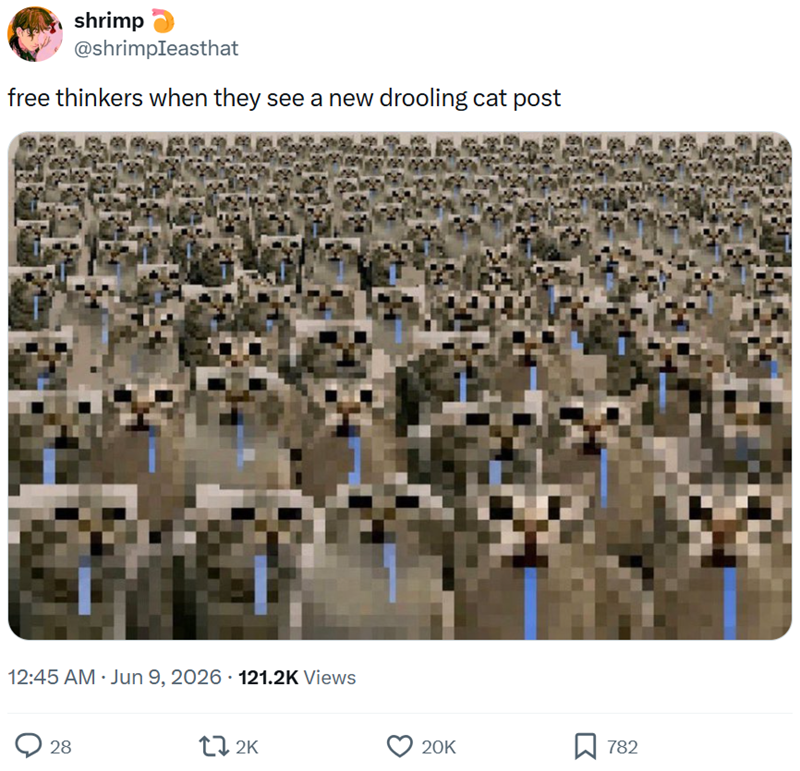 shrimp @shrimpIeasthat free thinkers when they see a new drooling cat post 12:45 AM ⚫ Jun 9, 2026 121.2K Views 28 172K 20K ☐ 782