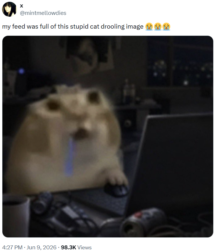 @mintmellowdies my feed was full of this stupid cat drooling image . 4:27 PM ⚫ Jun 9, 2026 98.3K Views