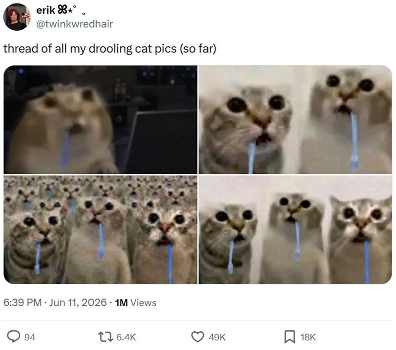 erik 88*° @twinkwredhair thread of all my drooling cat pics (so far) 6:39 PM - Jun 11, 2026 1M Views 94 16.4K 49K 18K