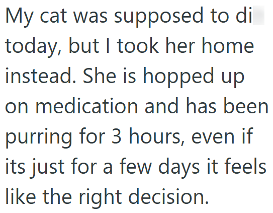My cat was supposed to di today, but I took her home instead. She is hopped up on medication and has been purring for 3 hours, even if its just for a few days it feels like the right decision.