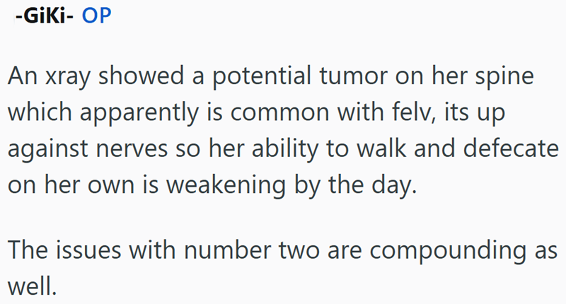 -GiKi- OP An xray showed a potential tumor on her spine which apparently is common with felv, its up against nerves so her ability to walk and defecate on her own is weakening by the day. The issues with number two are compounding as well.