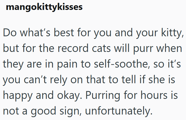 mangokittykisses Do what's best for you and your kitty, but for the record cats will purr when they are in pain to self-soothe, so it's you can't rely on that to tell if she is happy and okay. Purring for hours is not a good sign, unfortunately.