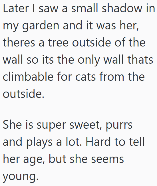 Later I saw a small shadow in my garden and it was her, theres a tree outside of the wall so its the only wall thats climbable for cats from the outside. She is super sweet, purrs and plays a lot. Hard to tell her age, but she seems young.