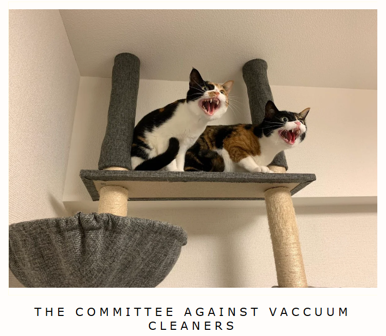THE COMMITTEE AGAINST VACCUUM CLEANERS