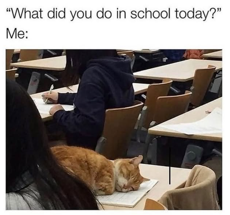 "What did you do in school today?" Me: