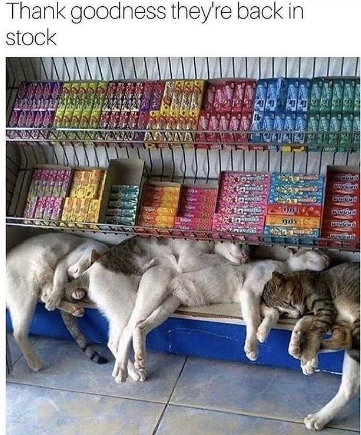 Thank goodness they're back in. stock