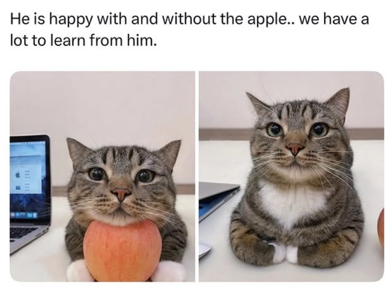 He is happy with and without the apple.. we have a lot to learn from him.