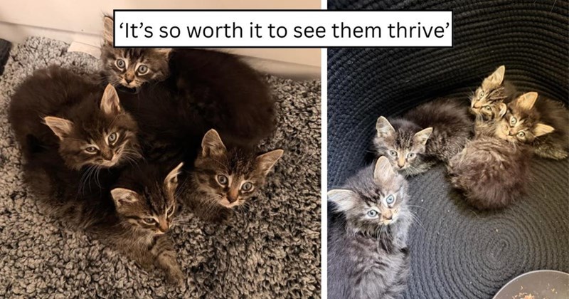 'It's so worth it to see them thrive'