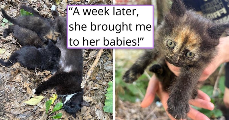 "A week later, she brought me to her babies!" DIFFI