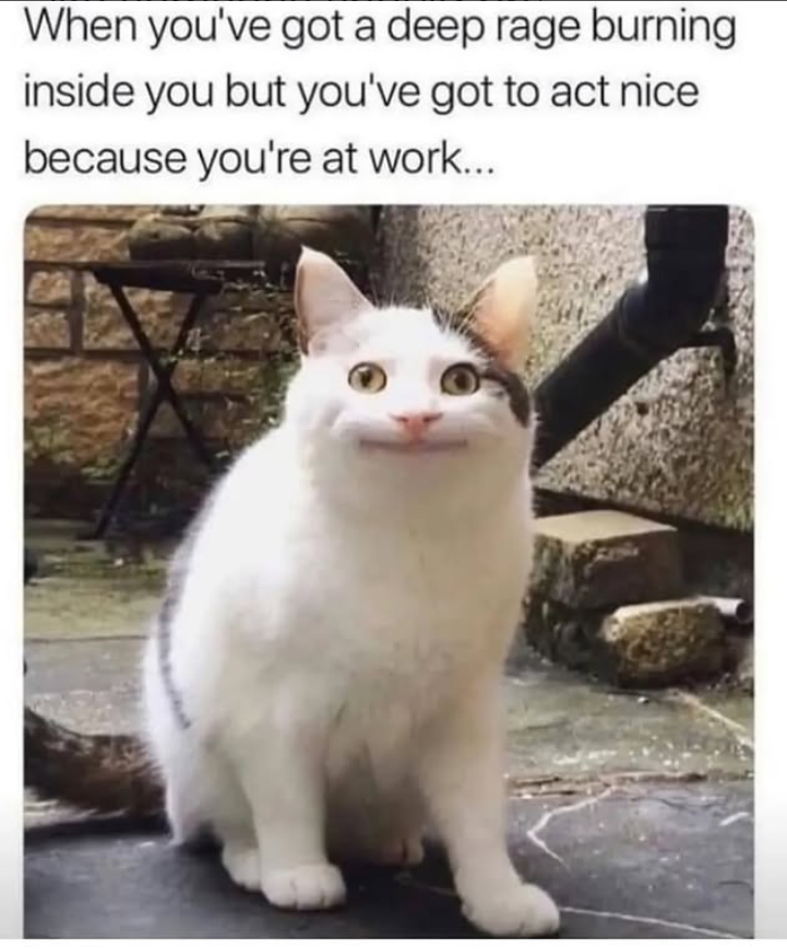 When you've got a deep rage burning inside you but you've got to act nice because you're at work...