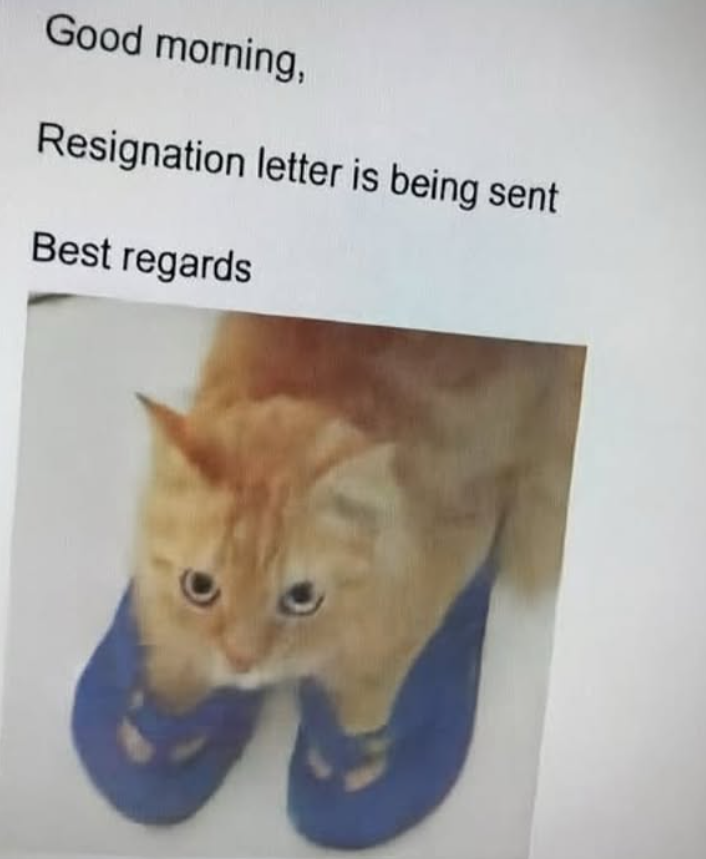 Good morning, Resignation letter is being sent Best regards