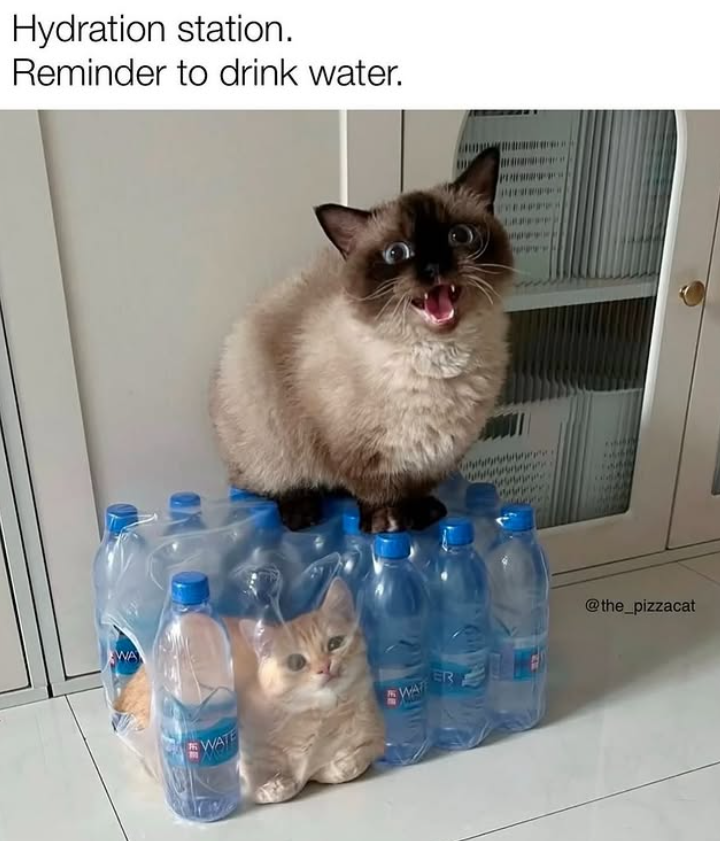 Hydration station. Reminder to drink water. WATE WATE ER @the_pizzacat