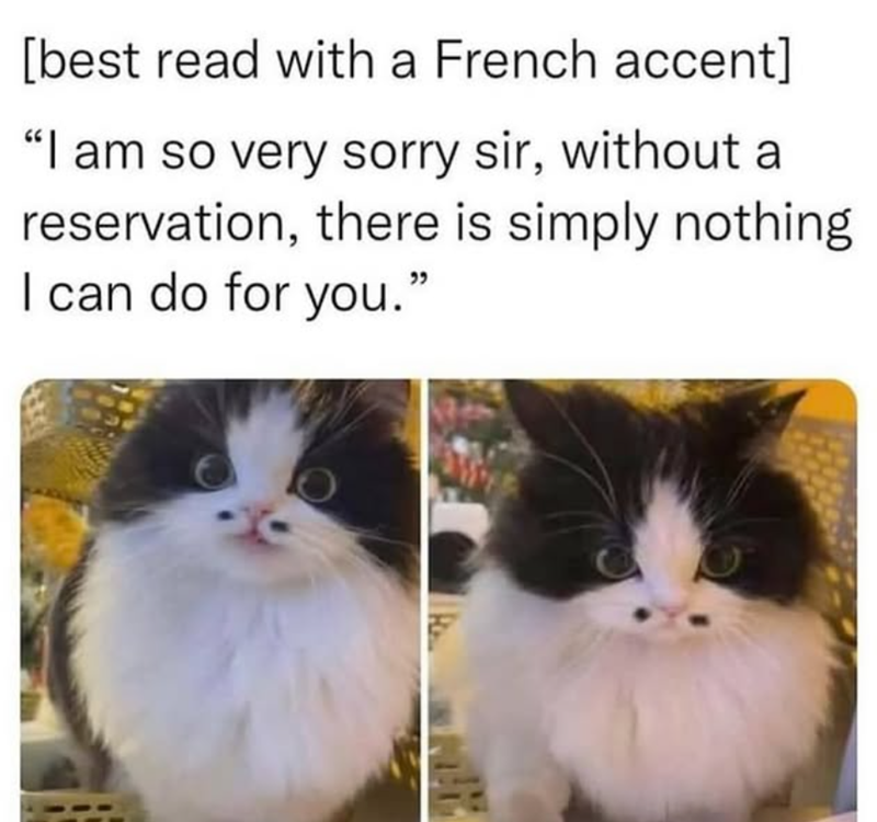 [best read with a French accent] "I am so very sorry sir, without a reservation, there is simply nothing I can do for you."