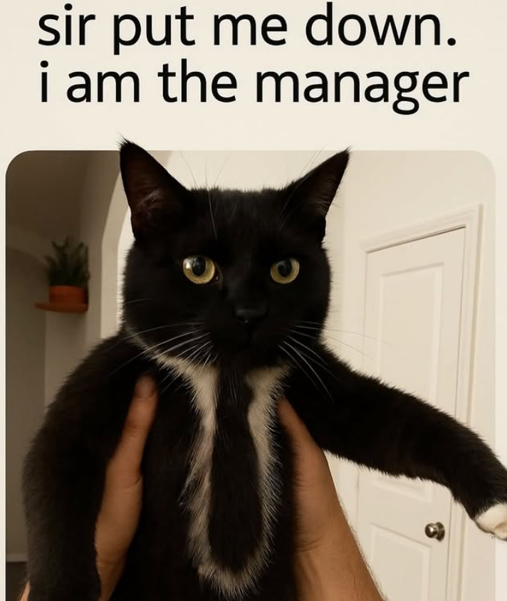 sir put me down. i am the manager