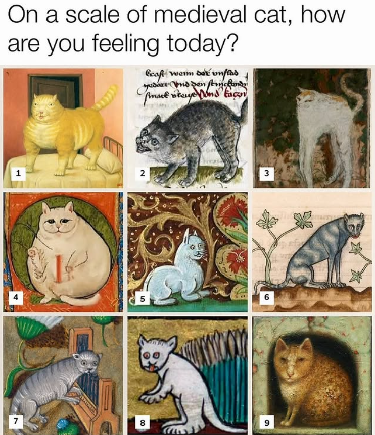 On a scale of medieval cat, how are you feeling today? beast wenn der unflad yedart und den ſticker smark vleuſe ſond lacy 1 2 3 7 5 6 8 9 **