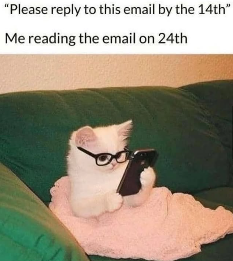 "Please reply to this email by the 14th" Me reading the email on 24th
