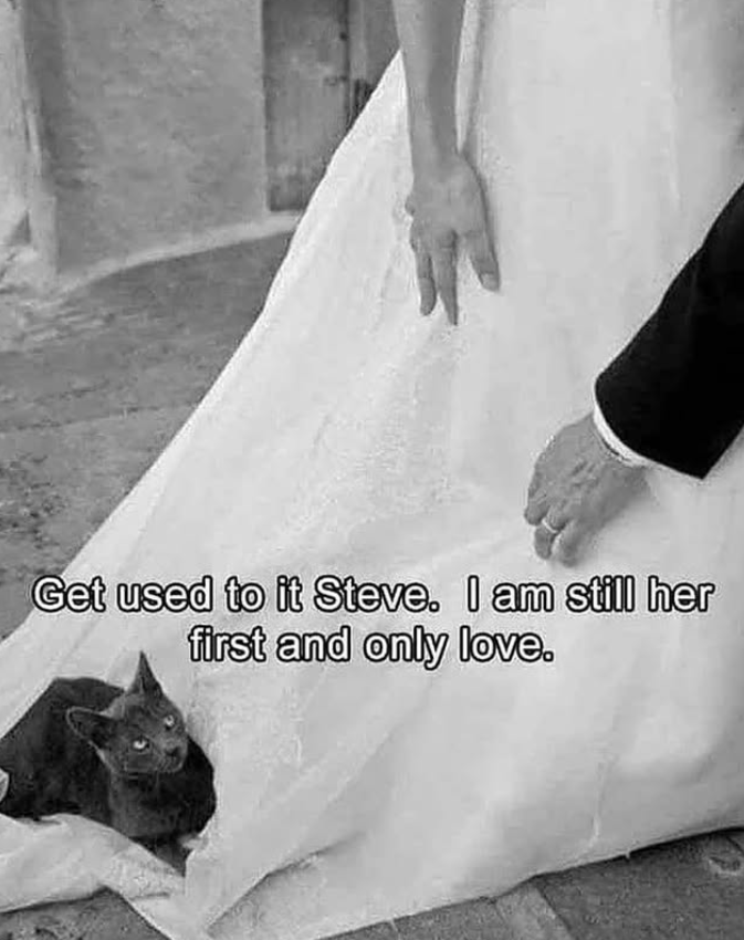 Get used to it Steve. I am still her first and only love.