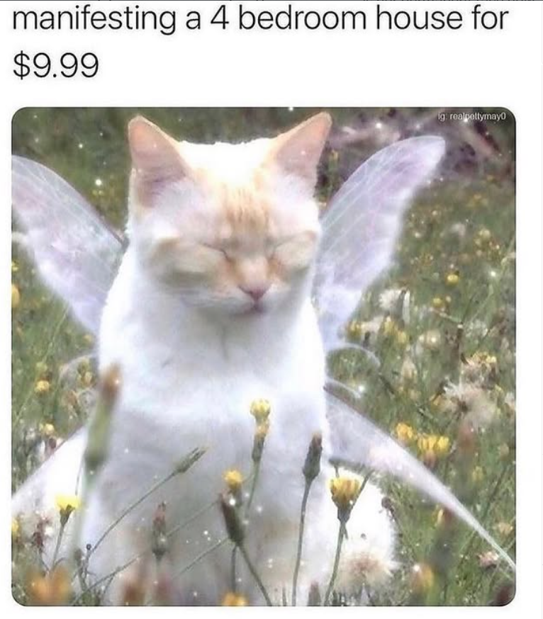 manifesting a 4 bedroom house for $9.99 ig: realpettymayo
