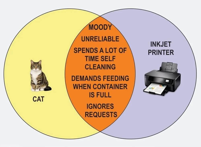 CAT MOODY UNRELIABLE SPENDS A LOT OF TIME SELF CLEANING DEMANDS FEEDING WHEN CONTAINER IS FULL IGNORES REQUESTS INKJET PRINTER Cat Tad hilosophy