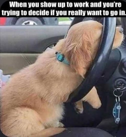 When you show up to work and you're trying to decide if you really want to go in.