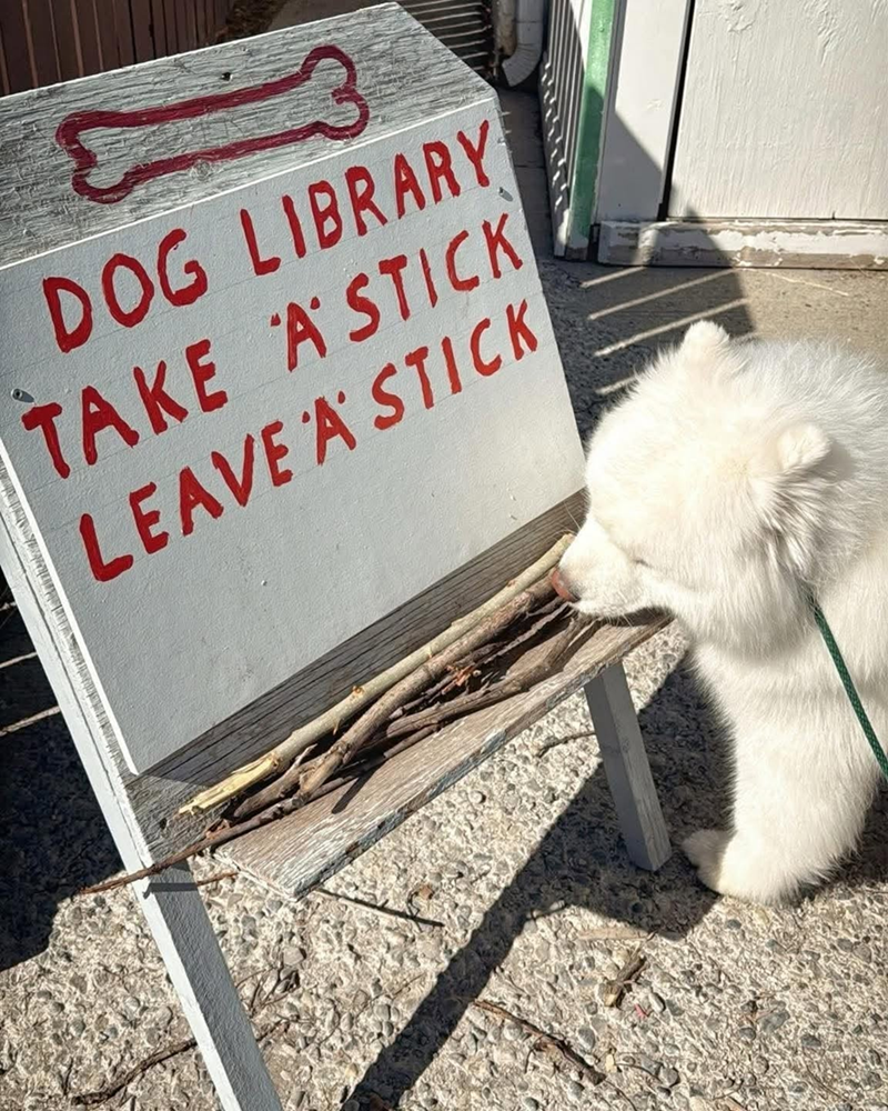 DOG LIBRARY TAKE A STICK LEAVE A STICK