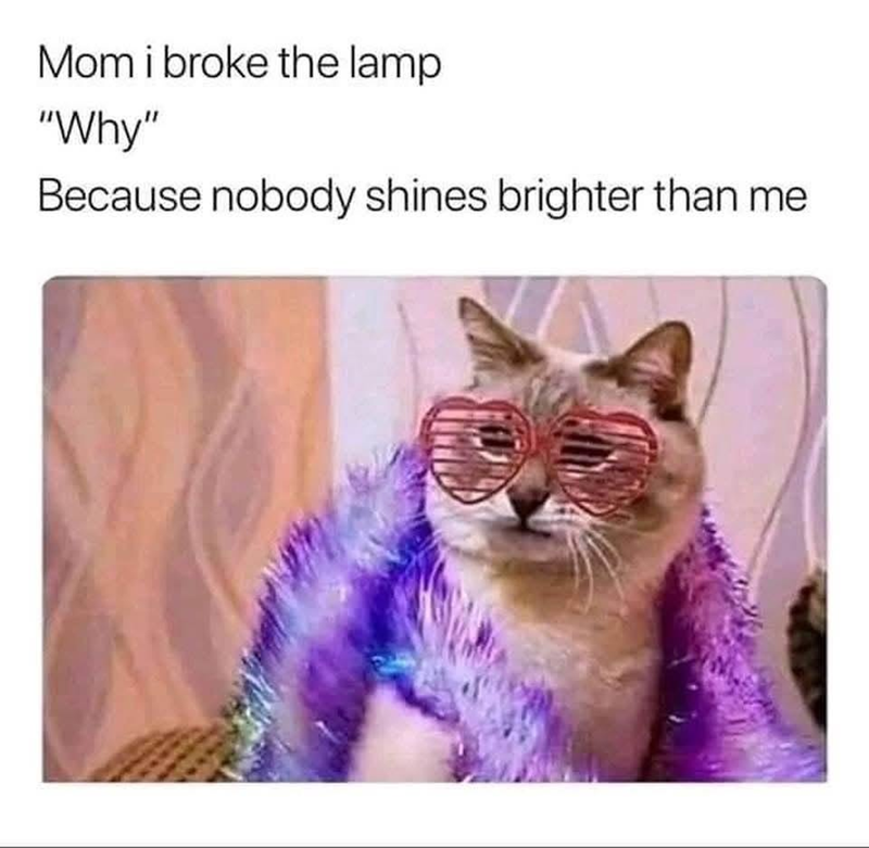 Mom i broke the lamp "Why" Because nobody shines brighter than me