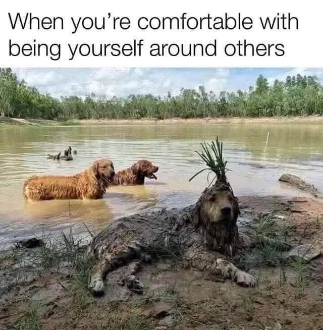 When you're comfortable with being yourself around others