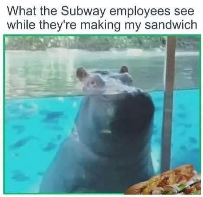 What the Subway employees see while they're making my sandwich